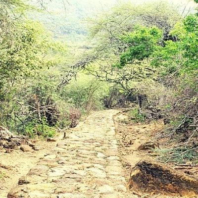 Caminos de Lengerke