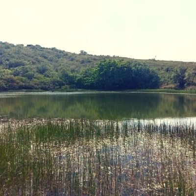 Laguna del Sapo en Zapatoca