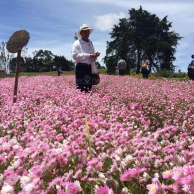 Finca silletera la alquería Sitios Turísticos de Antioquia