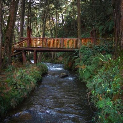 Parque Arví Sitios para conocer en Antioquia