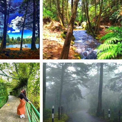 Parque ecoturístico Arví Sitios Turísticos de Antioquia