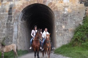 cabalgata (3)